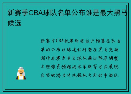 新赛季CBA球队名单公布谁是最大黑马候选
